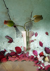 �మ��ɱ������