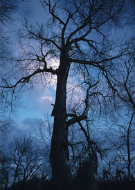 ɳ©����Ƕλ���