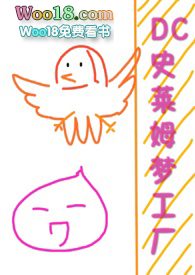 DCʷ��ķ�ι���