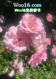 �����Ұ���